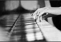 SP testimonials - Citizenship Ceremony